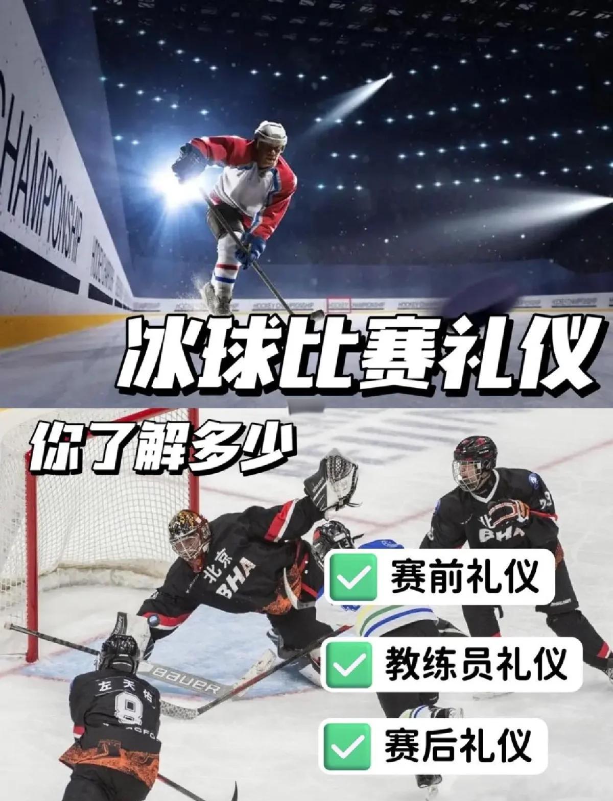 赛事期间的观众礼仪指南