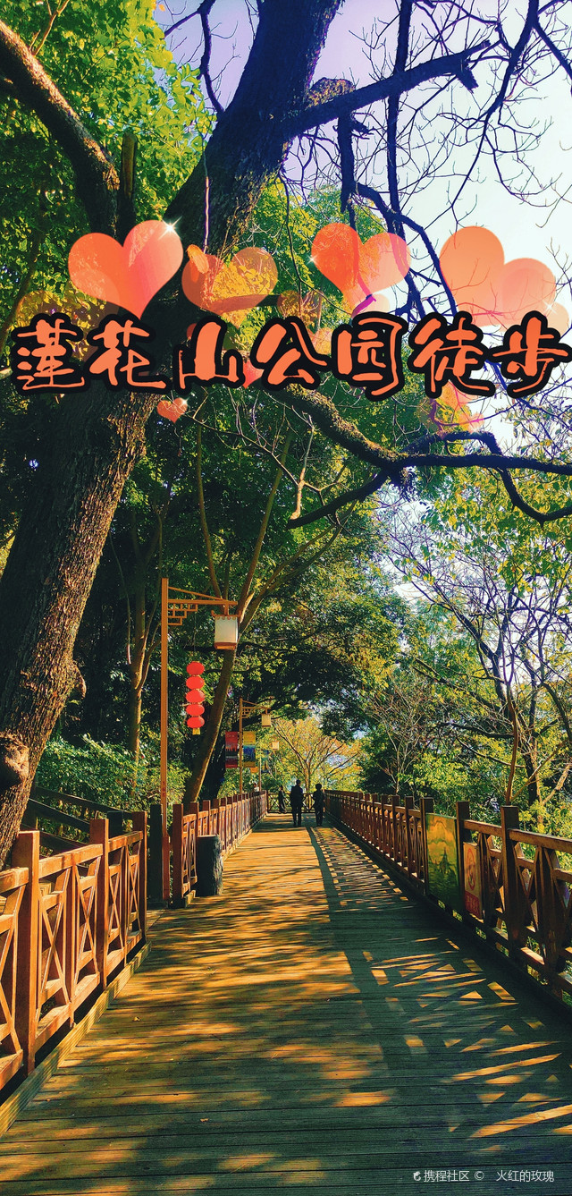 特色山林徒步，享受天然氧吧的慢生活的简单介绍