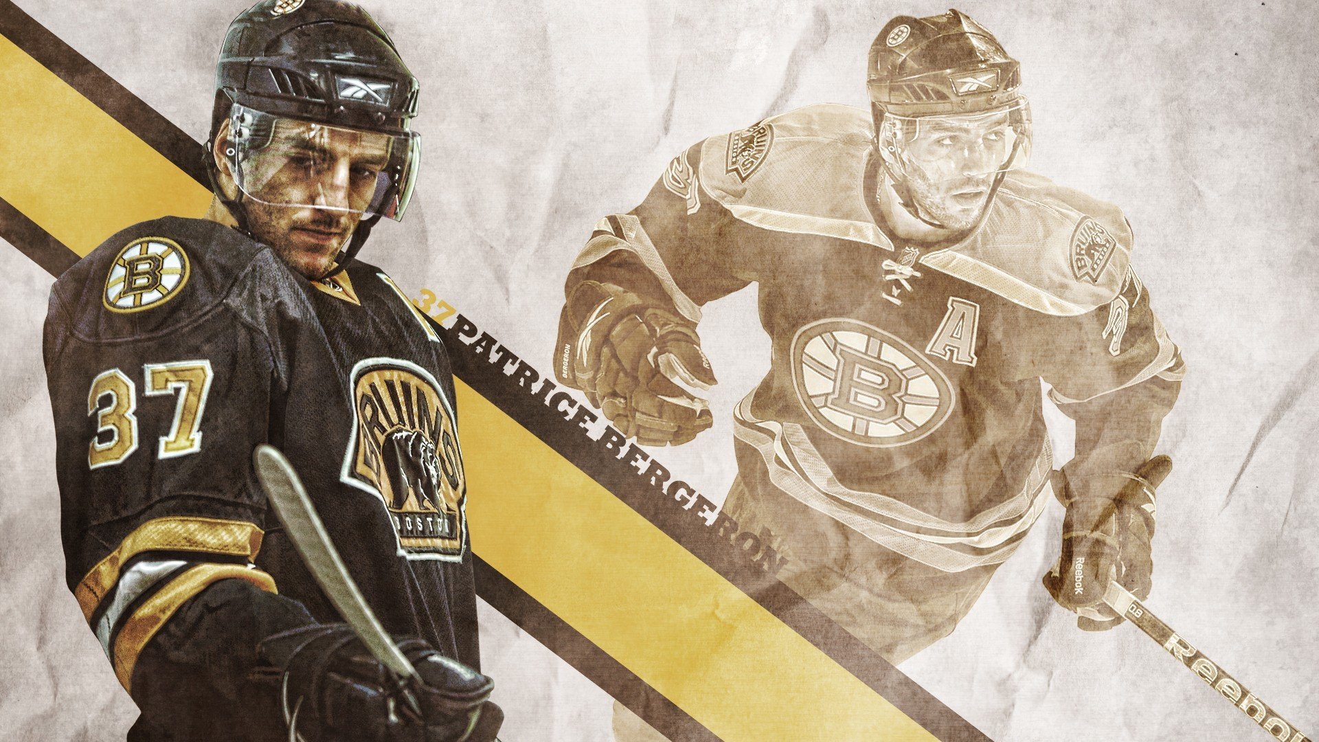 _生态自行车园：绿色出行与自然亲密接触_，生态园自助餐厅怎么样